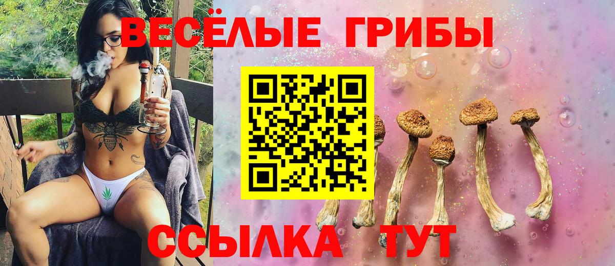 Галлюциногенные грибы GOLDEN TEACHER  Вход с VPN  Псилоцибиновые грибы GOLDEN TEACHER  Отрадный 